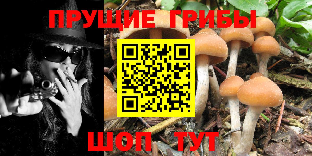 наркота  Галлюциногенные грибы Psilocybe  Вход с VPN  Тара  Галлюциногенные грибы мухоморы 