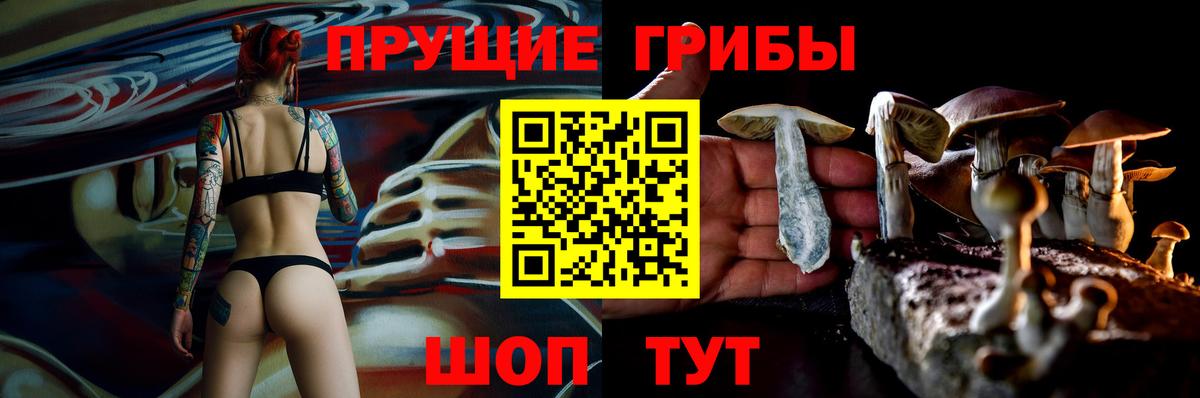 Псилоцибиновые грибы MAGIC MUSHROOMS Тара
